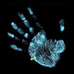 Gregory Robert Halvorson - @halvorson9937 - Instagram