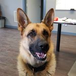 @hankerson_gregory - Instagram