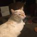 Greg Hearn - Facebook