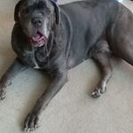 Gregory Scott Heck - @gregory_h_1969 - Instagram