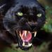 Gregory Holley - Facebook