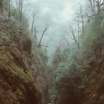 Gregory Holley - @ankushermin - Instagram
