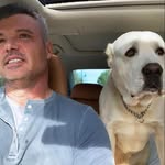 Gregory Hubert - @gregoryhubert121 - Instagram