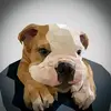 Gregory Hurt - @gregoryhurt738 - TikTok