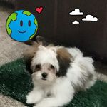 Gregory Hyde - @1drjeckyllmrhyde - Instagram