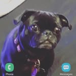 Gregory Jarman - @gregoryjarman31 - Instagram