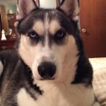 Gregory Jay Wilson - @wilsongregoryjay - Instagram