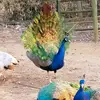 jaygregory - @jaygregory1277 - TikTok