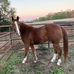 Greg Jost - Facebook