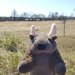 Gregory Judd - @buddybison_adventures - Instagram