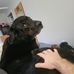 Greg Keating - Facebook