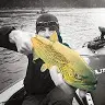 Greg Kerns - @gregkerns - TikTok