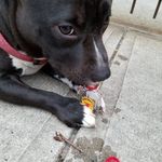 Gregory Kilgore - @howl_at_tha_moon - Instagram