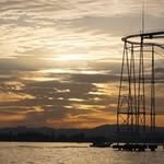 Gregory Boey Kong Wei - @gregory.wei - Instagram