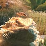 Gregory Kruger - @gregory.kruger.397 - Instagram