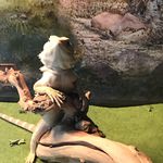 @gregorykrug3 - Instagram