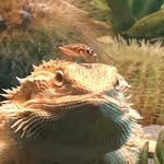 Gregory Kruger - @gregory.kruger.397 - Instagram