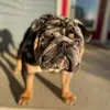Butkus Gregory - @butkusgregory1 - TikTok