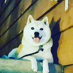 Mason kyles - @mason_kyles_gregory - Instagram