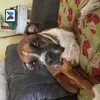 Gregory Lacking - @gregory.lacking - TikTok