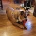 Greg Lafferty - Facebook