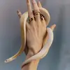 Gregory Lamb - @gregory.lamb2 - TikTok