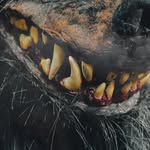 Gregory Lamberson - @officialgregorylamberson - Instagram