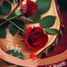 Grégory Lamothe - Facebook