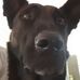 Gregory Lapierre - Facebook