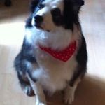 Gregory Leavitt - @gregory.leavitt - Instagram