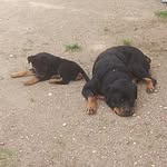 Gregory Leger - @gregory.leger.75 - Instagram