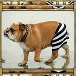legros - @gregorylegros77 - Instagram