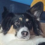 Gregory Levin - @grishalevin - Instagram