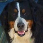 Gregory Louis - @gregory_r_s_louis - Instagram