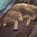 Gregory Lyman - Facebook