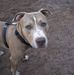Gregory Lyman - Facebook