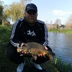 Gregory mancini - @greg0230 - Instagram