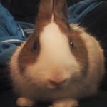 @gregory_marcoux - Instagram