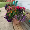 Greg McCain - @.greg.mccain - TikTok