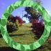 Gregory Mcclain - Facebook
