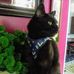 Gregory MCcormack - Facebook