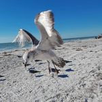 Gregory McDuffie - @mcduffie68 - Instagram