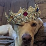 Gregory McHenry - @gigabytes_world - Instagram