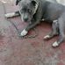 Gregory McIntosh - Facebook