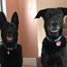 Greg Mclemore - Facebook