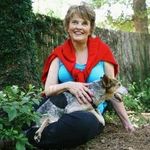 Nancy Gregory McLendon - @nancy.mclendon.376 - Instagram
