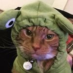 Gregory McLeod - @_gregorymcleod_ - Instagram