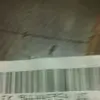 gregorymerchant6 - @gregorymerchant6 - TikTok