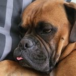 Gregory Merle - @merle_grego - Instagram