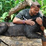 Gregory Mitchell - @greg36 - Instagram